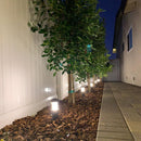 CDPA55 3W 12V Low Voltage 3000K Warm White Integrated LED Garden Bollard Path Light