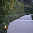 CDPS70 3W 3000K Warm White Integrated LED Marble Path Light Low Voltage Outdoor Landscape Lighting