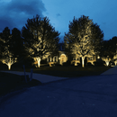 CDRA30 30W Smart Bluetooth RGBW Narrow Beam Directional Outdoor Landscape Spotlight