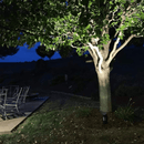 CDRA30 30W Smart Bluetooth RGBW Narrow Beam Directional Outdoor Landscape Spotlight