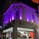 CDRA12 12W Smart Bluetooth RGBW Narrow Beam Directional Outdoor Landscape Spotlight with Remote Control