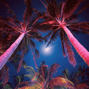 CDRA12 12W Smart Bluetooth RGBW Narrow Beam Directional Outdoor Landscape Spotlight with Remote Control