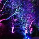 CDRA12 12W Smart Bluetooth RGBW Narrow Beam Directional Outdoor Landscape Spotlight with Remote Control