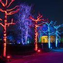 CDRA12 12W Smart Bluetooth RGBW Narrow Beam Directional Outdoor Landscape Spotlight with Remote Control