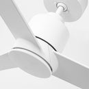 54" DC Motor 3-Blades Ceiling Fan