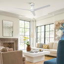 54" DC Motor 3-Blades Ceiling Fan