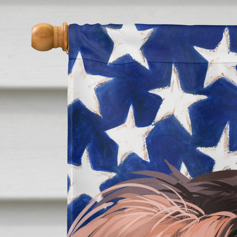 Boykin Spaniel Dog American Flag Flag Canvas House Size CK6455CHF