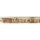 Bathing Beauties Palm Beach County 1929 | Wall Art Print on Real Wood