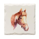 Horse Face | Drink Coaster Set of 4 | Absorbent Ridged Ceramic with Cork Backing