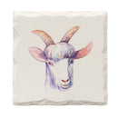Goat Face |Drink Coaster Set