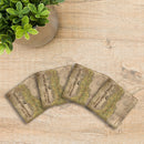 Appalachian Trail Classic Map | Drink Coaster Set (of 4) | Absorbent Ridged Ceramic with Cork Backing