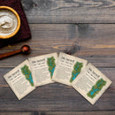 Lake Hartwell, South Carolina Definition |Drink Coaster Set