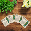 Lake Keowee, South Carolina Definition Coasters | Drink Coaster Set of 4 | Absorbent Ridged Ceramic with Cork Backing