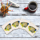 Tropical Fish 3 |Drink Coaster Set