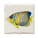 Tropical Fish 3 |Drink Coaster Set