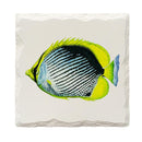 Tropical Fish |Drink Coaster Set