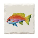 Rainbow Fish | Drink Coaster Set