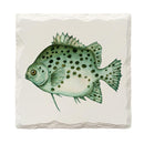 Humpback Grouper Fish |Drink Coaster Set
