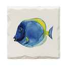 Blue Tang Fish |Drink Coaster Set