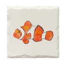 Clownfish |Drink Coaster Set