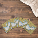 Muskegon Lake, Michigan Map |Drink Coaster Set
