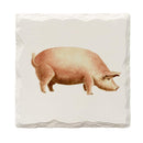 Farmhouse Pig | Drink Coaster Set