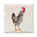 Farmhouse Rooster | Drink Coaster Set