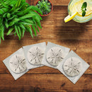 Sand Dollar | Drink Coaster Set