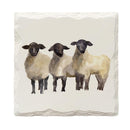 Triple Sheep | Drink Coaster Set