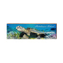 COC1-SEA1M-1 | Wall Art Print on Real Wood