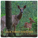 COO2-COA5-6 | Wall Art Print on Real Wood