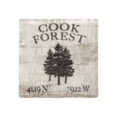 Customizable Pine Tree Latitude Longitude Coasters | Drink Coaster Set of 4 | Custom Absorbent Ridged Ceramic with Cork Backing