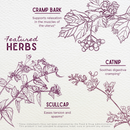 Cramp Release, Menses Soother