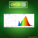 CRG30 Low Voltage In Ground RGB or WW LED Brick Paver Light Square IP67 Waterproof