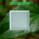 CRG30 Low Voltage In Ground RGB or WW LED Brick Paver Light Square IP67 Waterproof