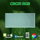 CRG31 Low Voltage In Ground RGB or WW LED Brick Paver Light Rectangle IP67 Waterproof