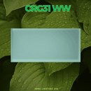 CRG31 Low Voltage In Ground RGB or WW LED Brick Paver Light Rectangle IP67 Waterproof