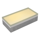 CRG31 Low Voltage In Ground RGB or WW LED Brick Paver Light Rectangle IP67 Waterproof
