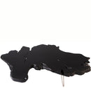 Black Teak Root Living Edge Coffee Table