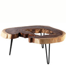 Lake Living Edge Coffee Table 2
