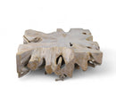 Z-Bleach Organic Teak Root Coffee Table 2
