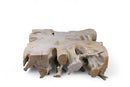 Z-Bleach Organic Teak Root Coffee Table 2