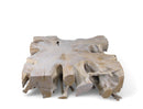 Z-Bleach Organic Teak Root Coffee Table 2