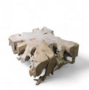 Z-Bleach Organic Teak Root Coffee Table 2