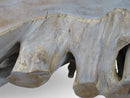 Z-Bleach Organic Teak Root Coffee Table 2