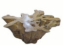 Z-Natural Wood Color Organic Teak Root Coffee Table 33