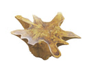 Z-Warm Wood Color Organic Teak Root Coffee Table 39