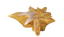 Z-Warm Wood Color Organic Teak Root Coffee Table 39