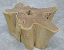 Nature Wood Color Organic Teak Root Accent or Coffee Table 47