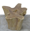 Nature Wood Color Organic Teak Root Accent or Coffee Table 47